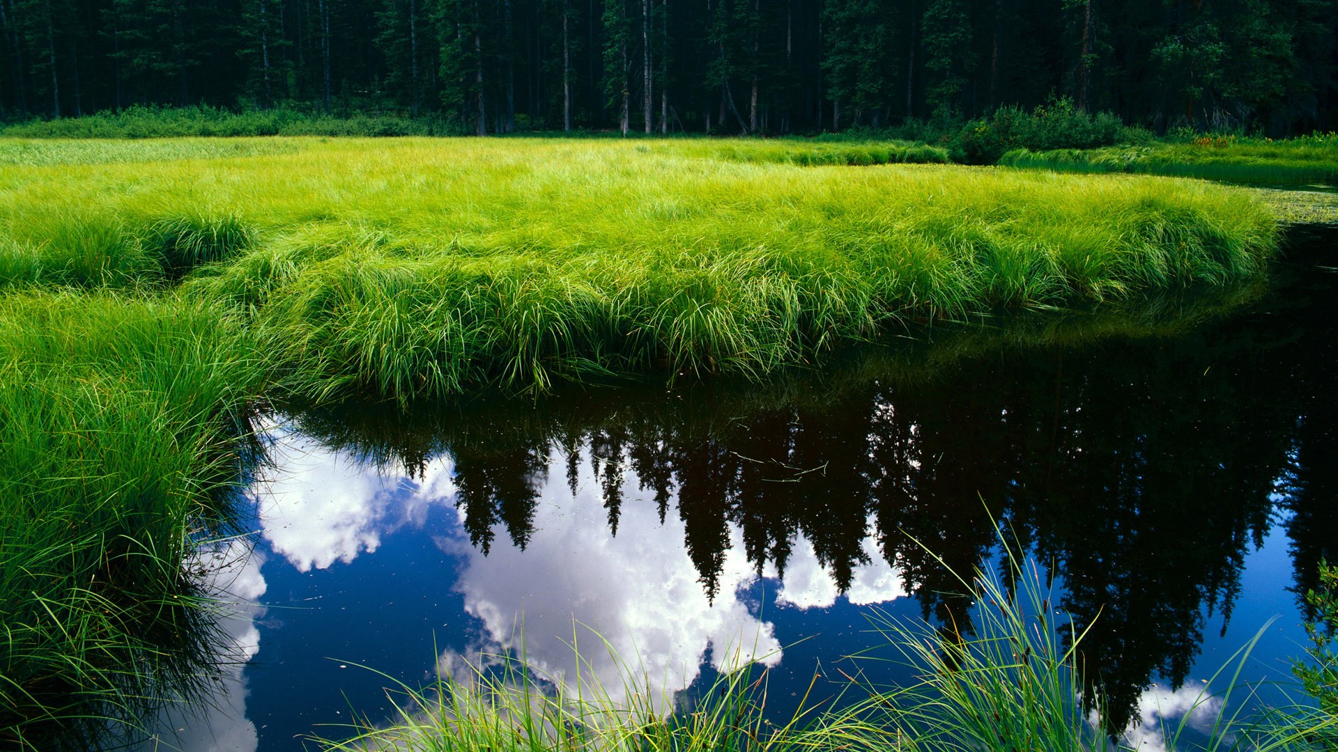 开云体育网址-主教练专栏：战术布局的胜负关键在哪？，战术技巧