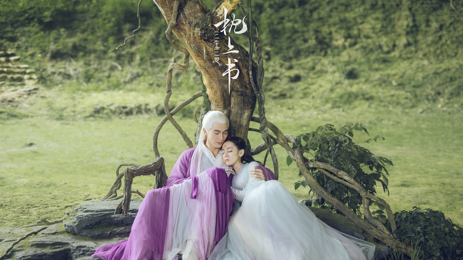 体育创新大会聚焦中国篮球未来发展方向,中国篮球未来怎么发展论文