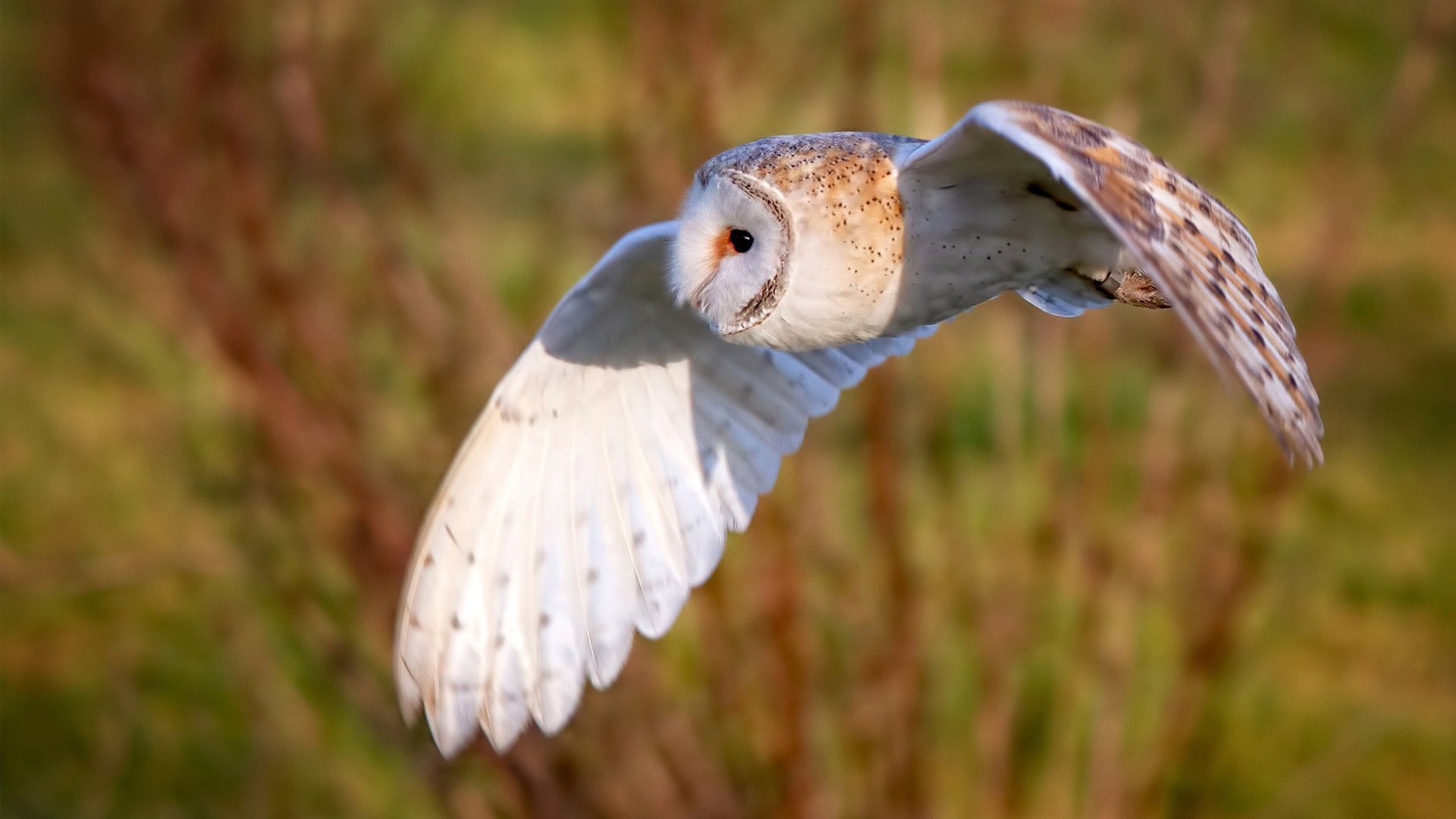 关键数据：比赛中最具影响力的统计指标，关键指标是什么意思