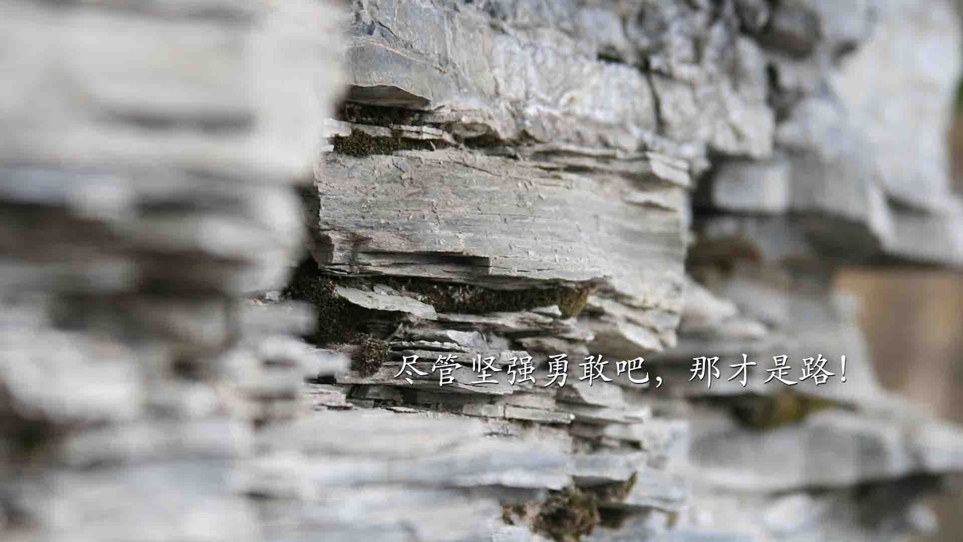 开云app安全认证-多元人才孵化平台：电竞行业从“玩”到“行”的转变