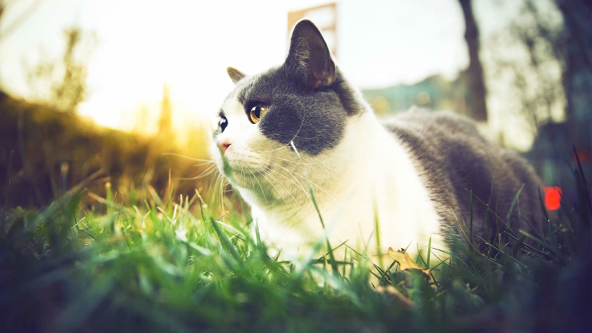 足球行业招聘季提供千余岗位供求对接，足球相关工作招聘