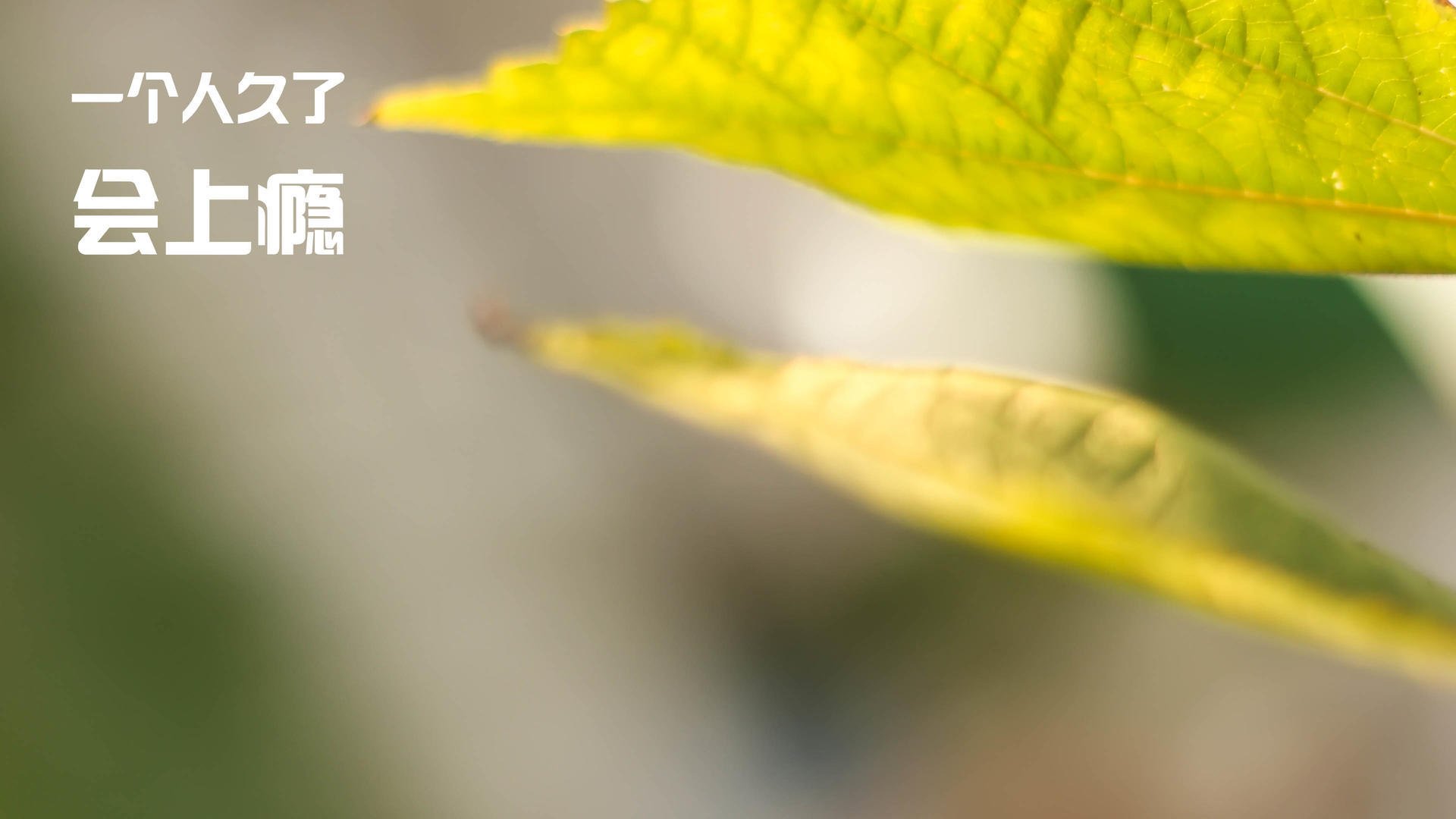 kaiyun app download-CBA三分大赛总冠军诞生，朱旭航技压群雄夺魁，cba 三分大赛