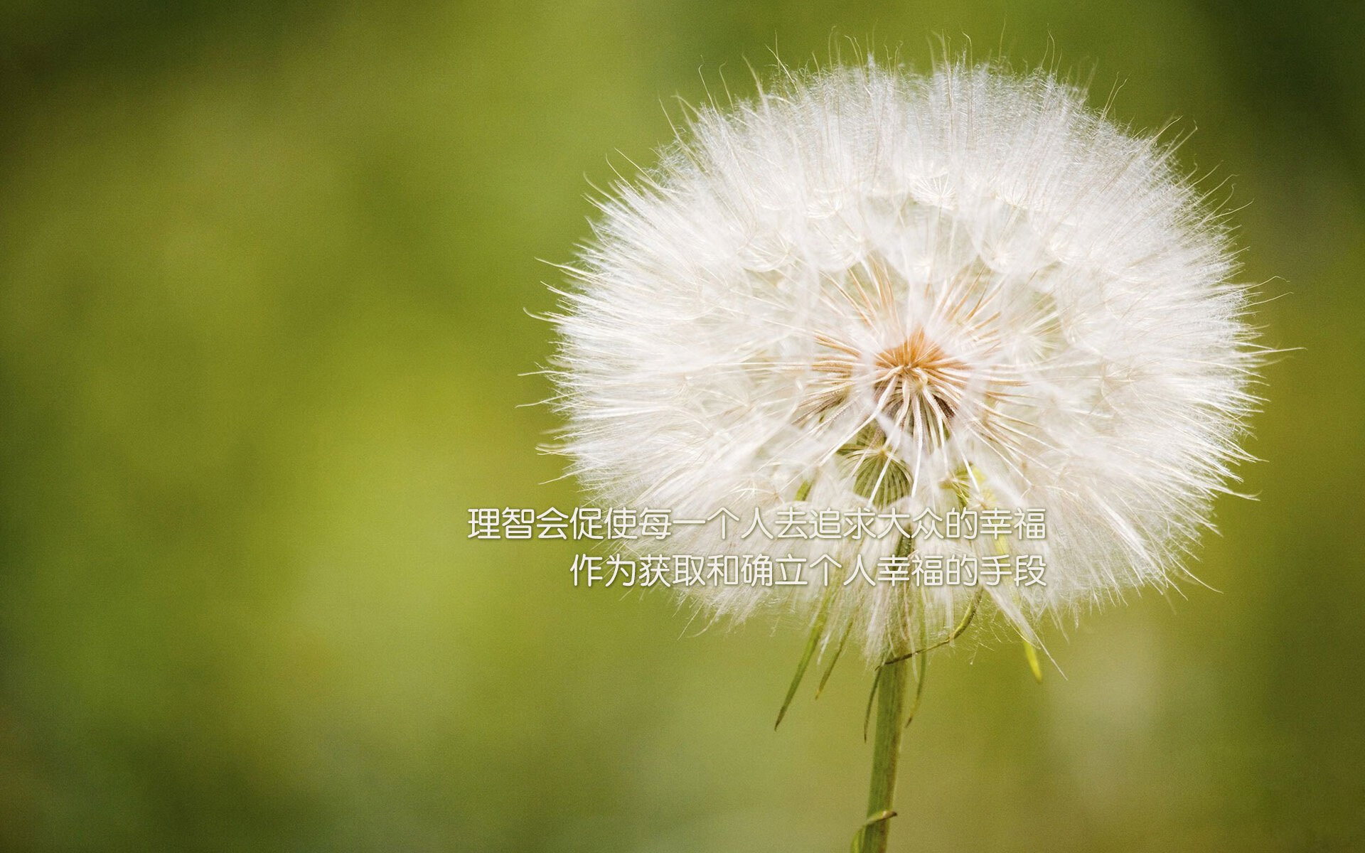 CBA三分大赛总冠军诞生，朱旭航技压群雄夺魁，cba 三分大赛