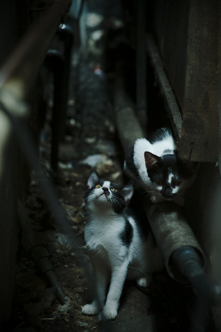 中国篮球运动员抢断技术训练方法探讨，篮球抢断规则犯规